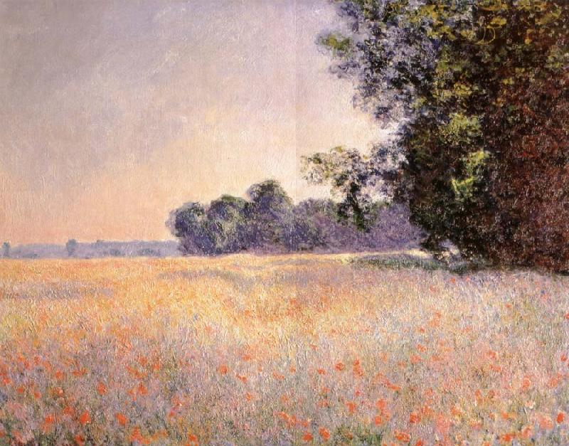 Claude Monet Oat and Poppy Field china oil painting image